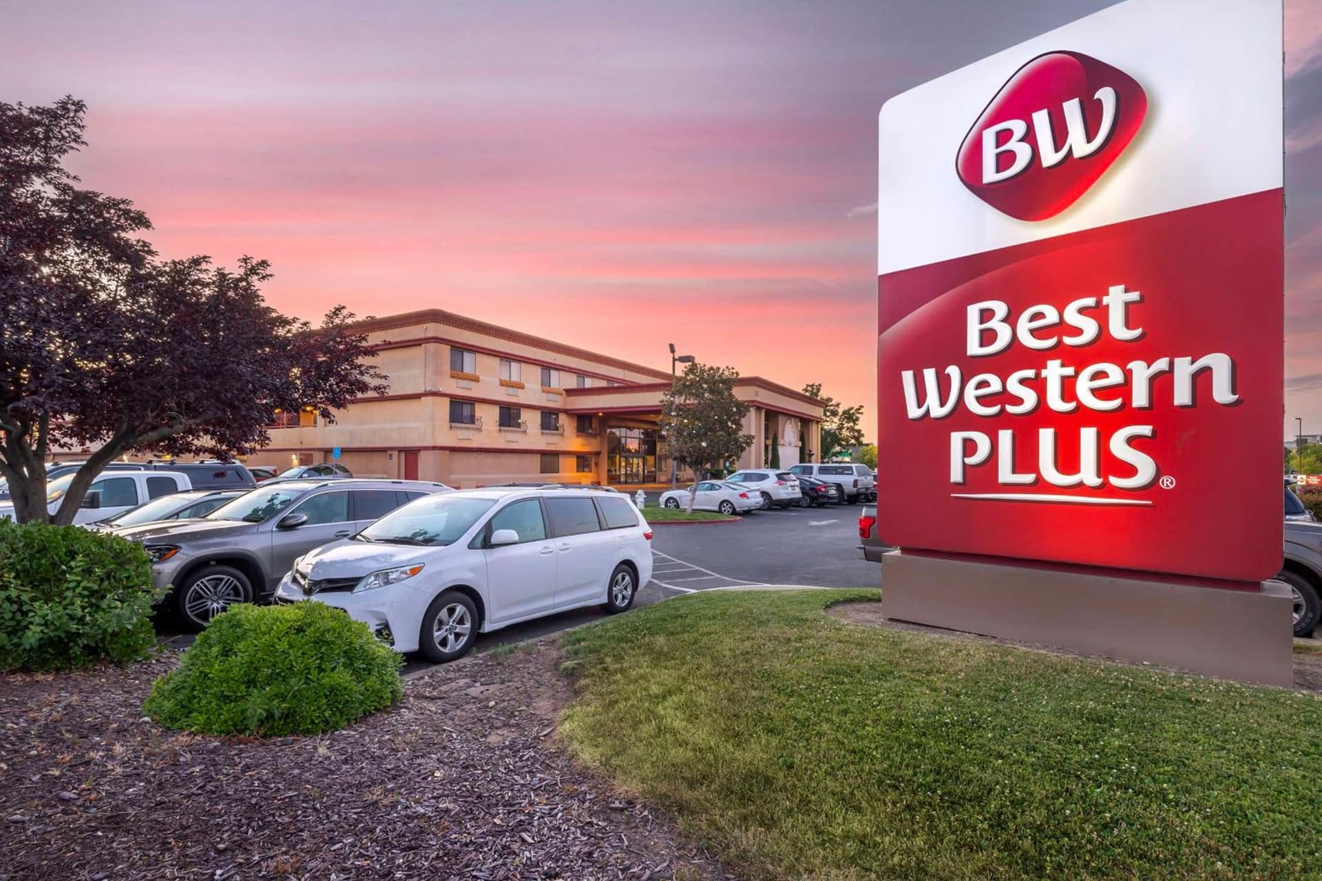 Best Western Plus Orchid Hotel and Suites