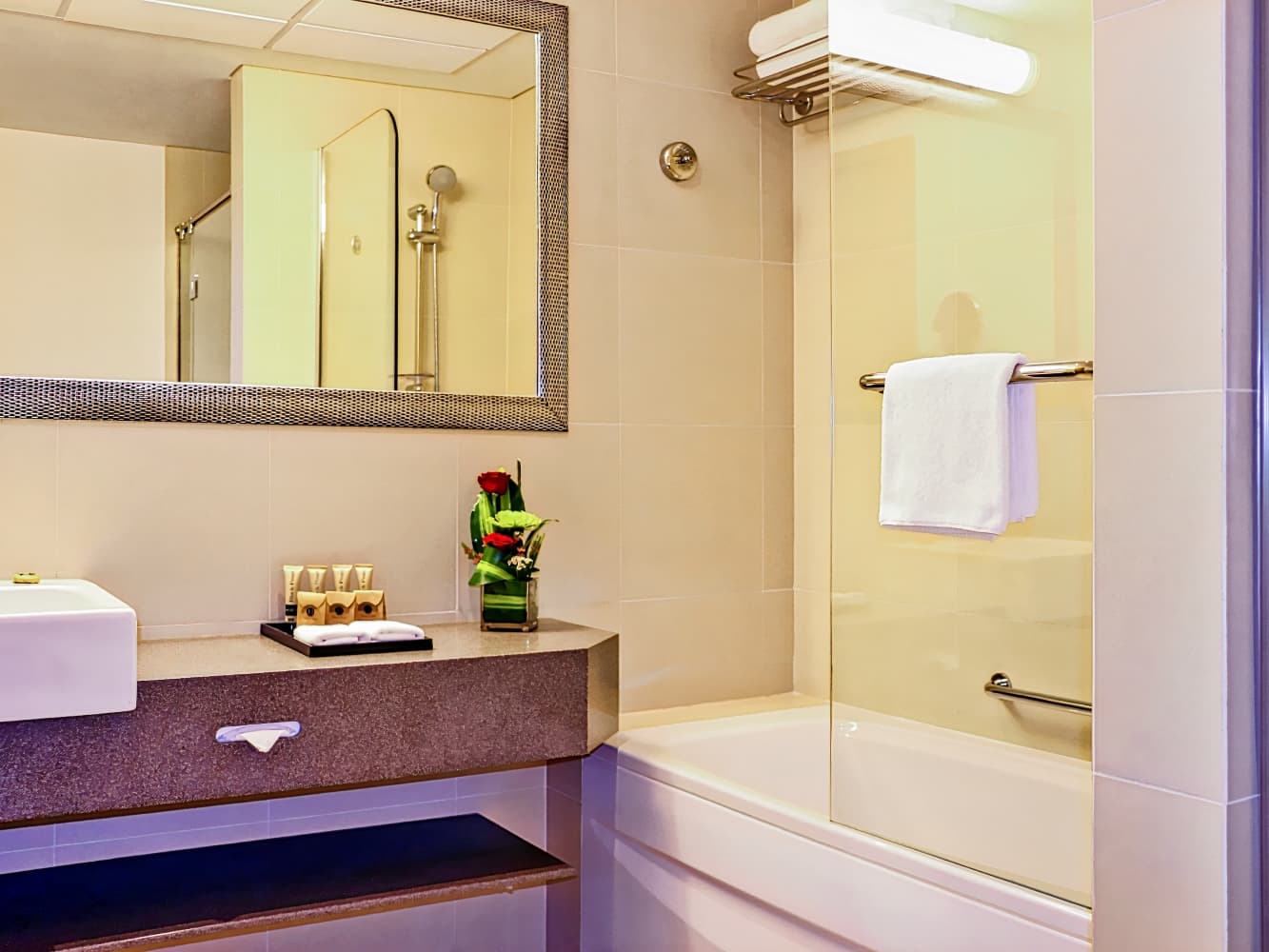 Adagio Premium Dubai Al Barsha